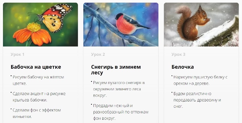 Матита бабочки