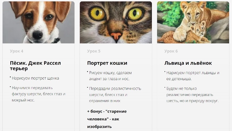 Матита собака