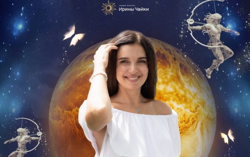 Чайка привлечение клиентов